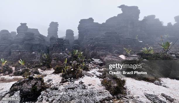 Quartz crystals and unique rock formations at Crystals Valley, Mount Roraima, in the triple border point of Venezuela, Brazil and Guyana.