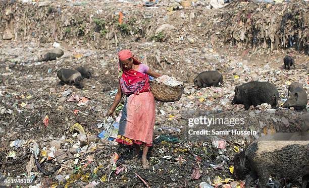 Woman searches through a rubbish tip by the Kapali Bagan slum for useful artifacts to sell on December 10, 2013 in Kolkata, India. Almost one third...