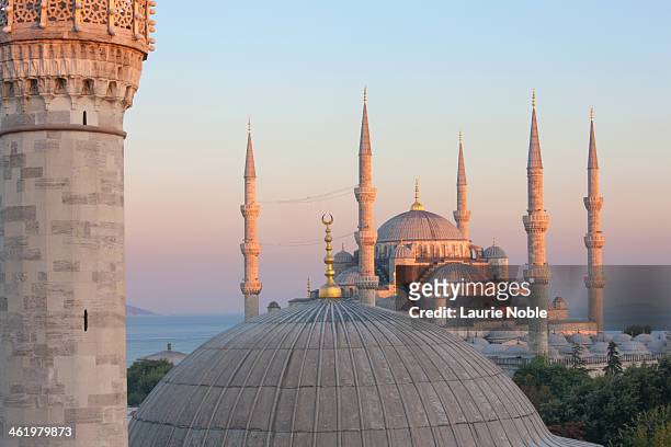 firuz aga and blue mosque at sunset, istanbul - blue mosque stock-fotos und bilder