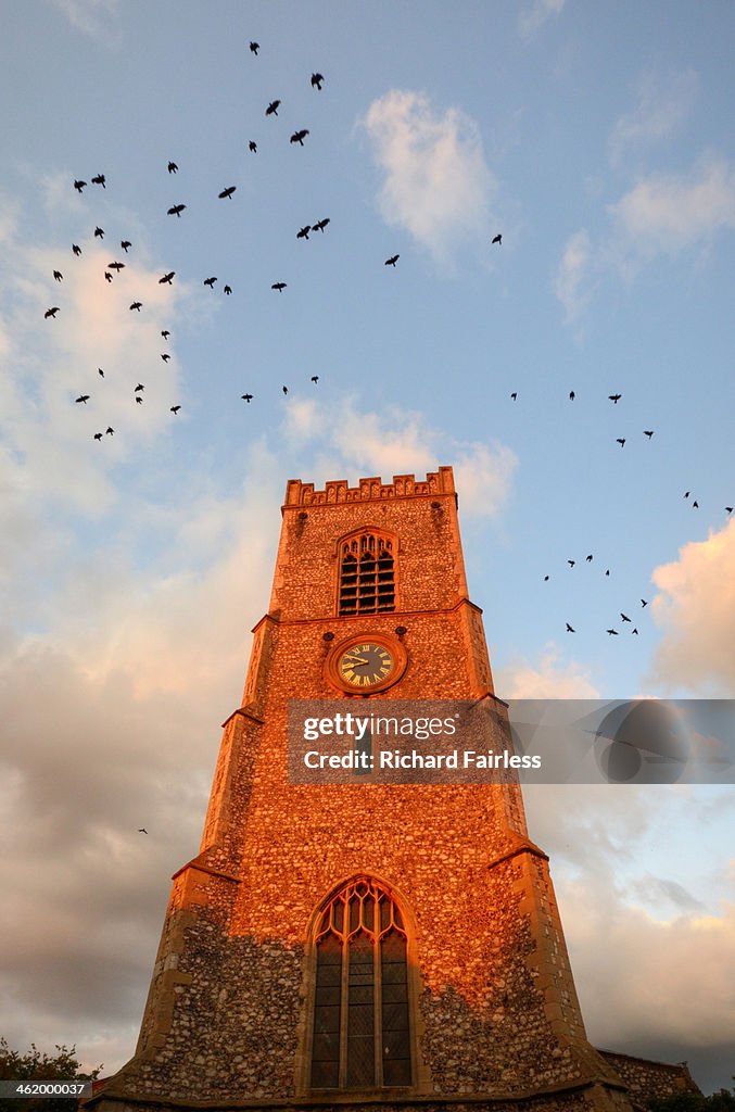 Church Tower rooks at sunset