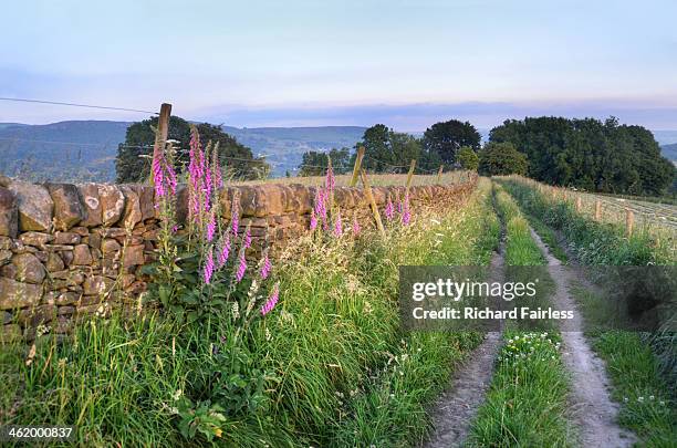 farmland path in the peak district - eyam derbyshire stock pictures, royalty-free photos & images