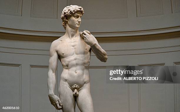 The original 16th century statue of David by Italian artist Michelangelo Buonarroti stands in the Galleria dell'Accademia in central Florence on...