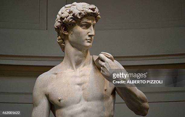 The original 16th century statue of David by Italian artist Michelangelo Buonarroti stands in the Galleria dell'Accademia in central Florence on...