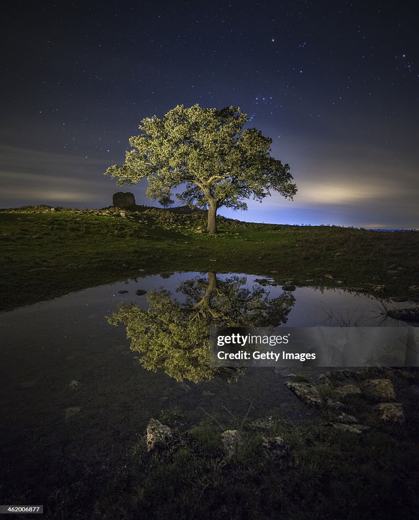 Reflejo