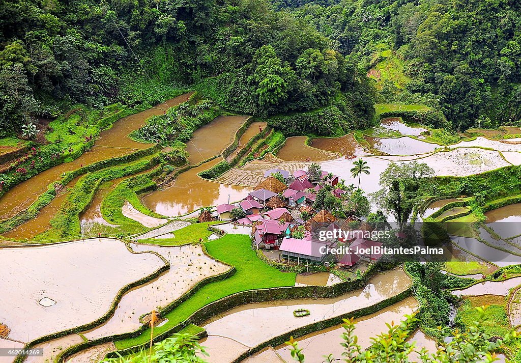 Ifugao Village, Bangaan Rice Terraces