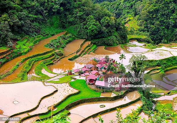 ifugao village, bangaan rice terraces - ifugao province stock pictures, royalty-free photos & images