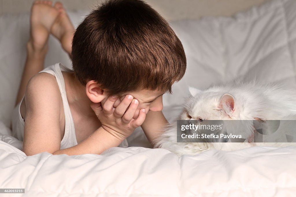 Child looking at his loving white persian cat