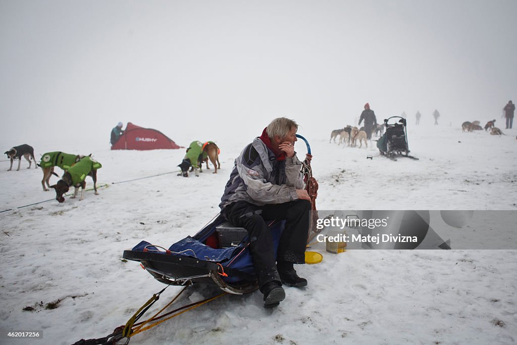 Sedivackuv Long Distance Dog Sled Race 2015