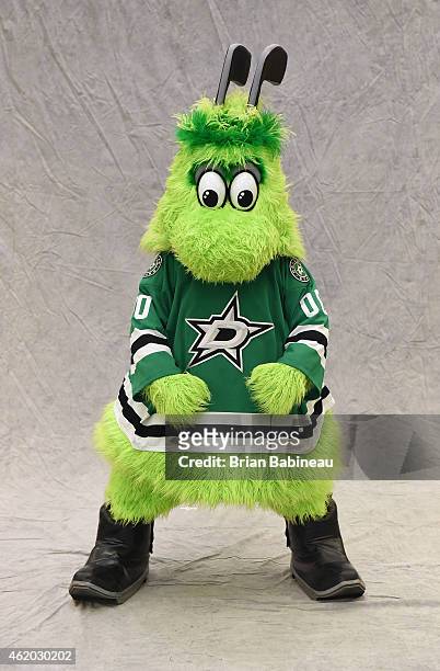 Mascot Victor E. Green of the Dallas Stars poses for a portrait during the 2015 NHL All-Star Weekend Mascot Portrait session at Columbus Convention...