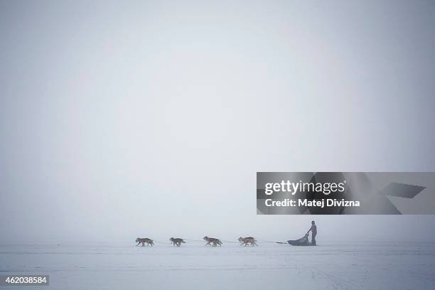 Musher competes with his dogs The Sedivackuv Long 2015 dog sled race in the Orlicke mountains on January 23 near the village of Destne v Orlickych...