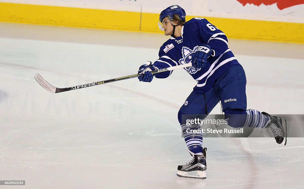 Toronto Marlies play the Hamilton Bulldogs