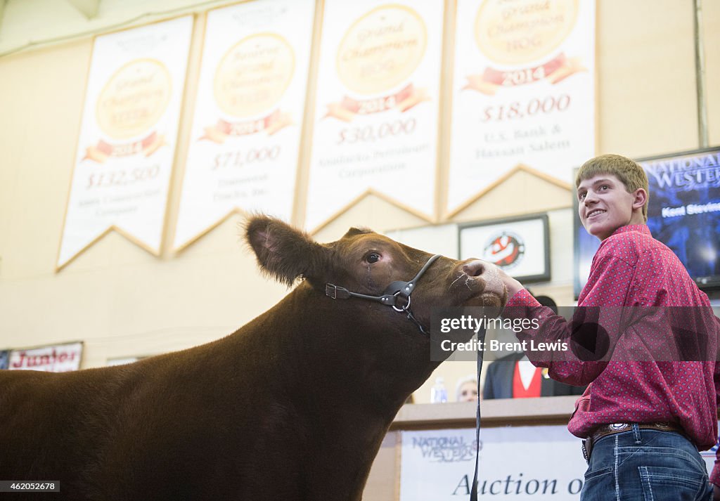 National Western Stock's Junior Livestock Auction