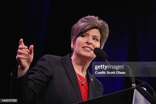 Sen. Joni Ernst speaks to guests at the Iowa Freedom Summit on January 24, 2015 in Des Moines, Iowa. The summit is hosting a group of potential 2016...