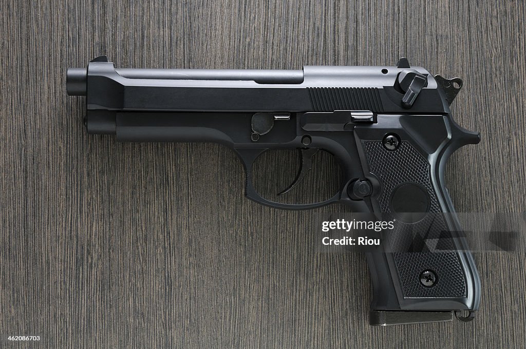 Gun