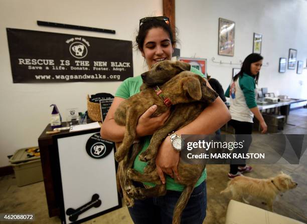 Rescue dogs, Mork and Mindy, are held by customer Jasmin Camarena inside the temporary Pup Up Dog Cafe during their fund raising event to raise money...