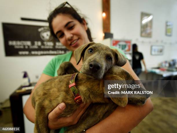 Rescue dogs, Mork and Mindy, are held by customer Jasmin Camarena inside the temporary Pup Up Dog Cafe during their fund raising event to raise money...