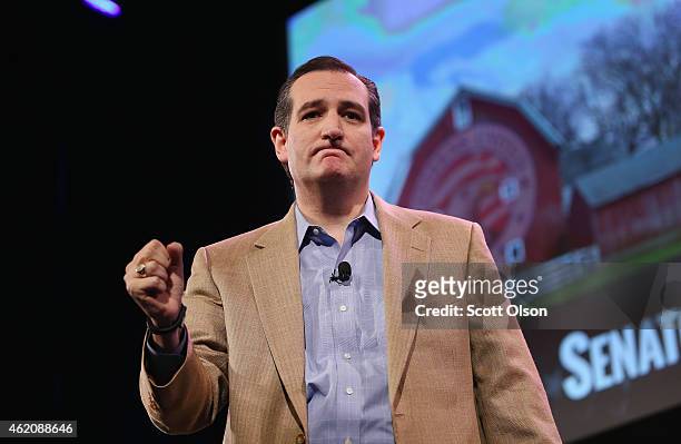 Sen. Ted Cruz speaks to guests at the Iowa Freedom Summit on January 24, 2015 in Des Moines, Iowa. The summit is hosting a group of potential 2016...