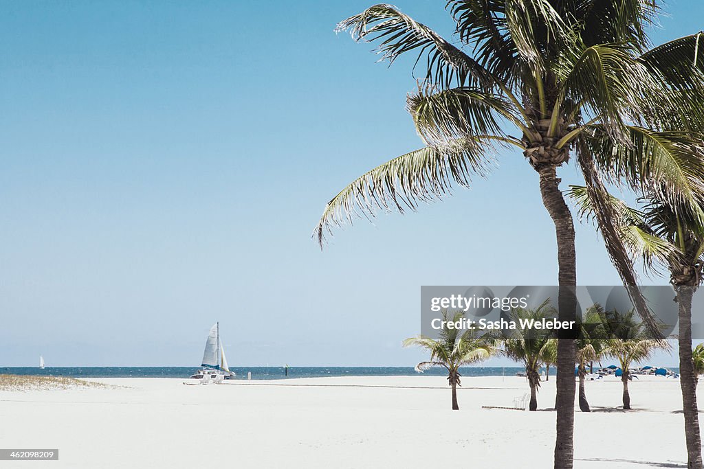 Palm trees on beach with Ocean and boat