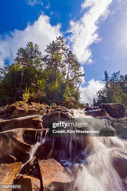 mclaren falls - westerskov stock pictures, royalty-free photos & images