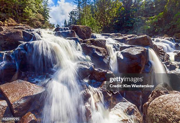 mclaren falls - westerskov stock pictures, royalty-free photos & images