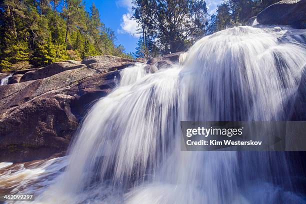 mclaren falls - westerskov stock pictures, royalty-free photos & images