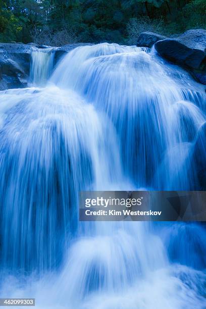 waterfall close up - westerskov stock pictures, royalty-free photos & images