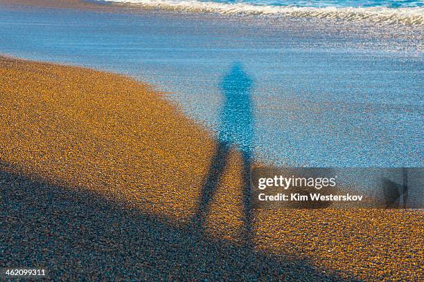 shadow at waters edge - westerskov stock pictures, royalty-free photos & images