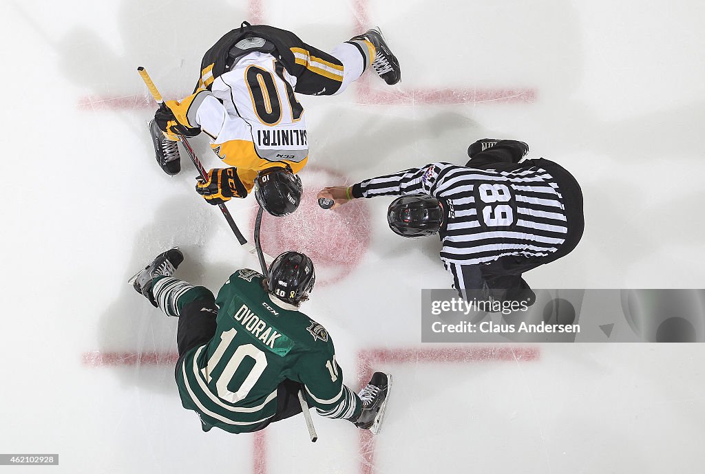 Sarnia Sting v London Knights