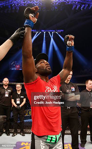 Anthony Johnson of the United States celebrates after his knockout victory over Alexander Gustafsson of Sweden in their light heavyweight bout during...