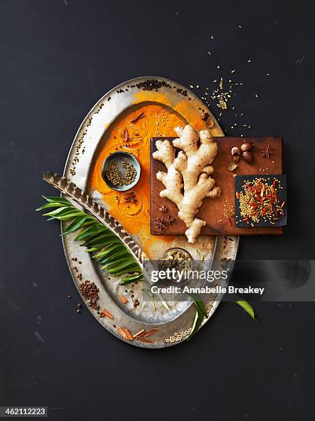 Still Life Of Indian Spices On A Pewter Tray, Foto de stock