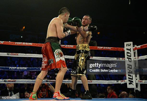 Brandon Rios Fights 561 Mike Alvarado Photos & High Res Pictures - Getty Images