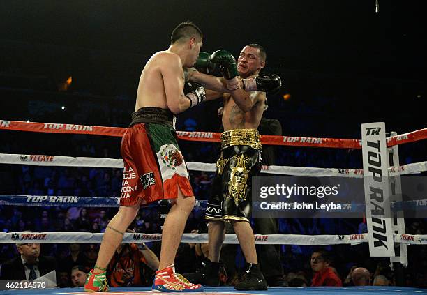 Brandon Rios lands a punch on Mike Alvarado during the WBO International Welterweight Title fight January 24, 2015 at 1st Bank Arena.