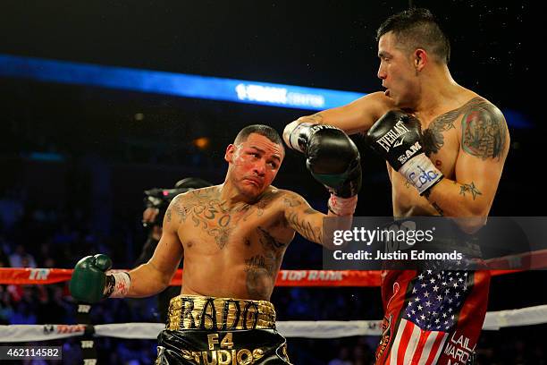 Mike Alvarado fights Brandon Rios during a WBO International Welterweight Title fight at First Bank Center on January 24, 2015 in Broomfield,...