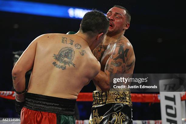 Brandon Rios Fights Brandon Rios V Mike Alvarado Photos and Premium High Res Pictures ...