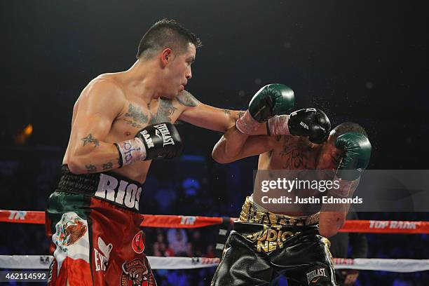 Brandon Rios Fights Mike Alvarado V Brandon Rios Iii Photos and Premium High Res Pictures ...