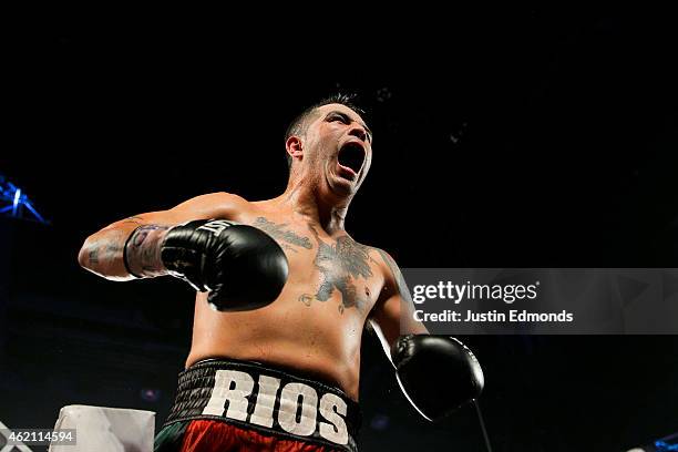 Brandon Rios celebrates after his fight against Mike Alvarado during a WBO International Welterweight Title fight at First Bank Center on January 24,...