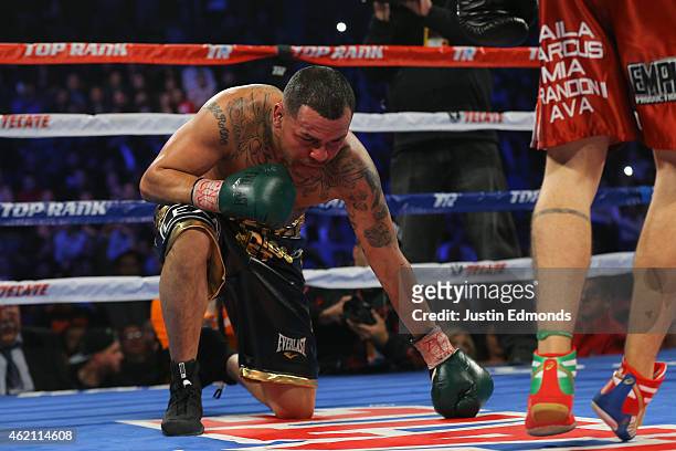 Mike Alvarado falls to his knees against Brandon Rios during a WBO International Welterweight Title fight at First Bank Center on January 24, 2015 in...
