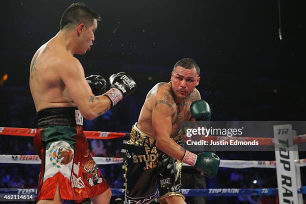 Mike Alvarado fights Brandon Rios during a WBO International Welterweight Title fight at First Bank Center on January 24, 2015 in Broomfield,...