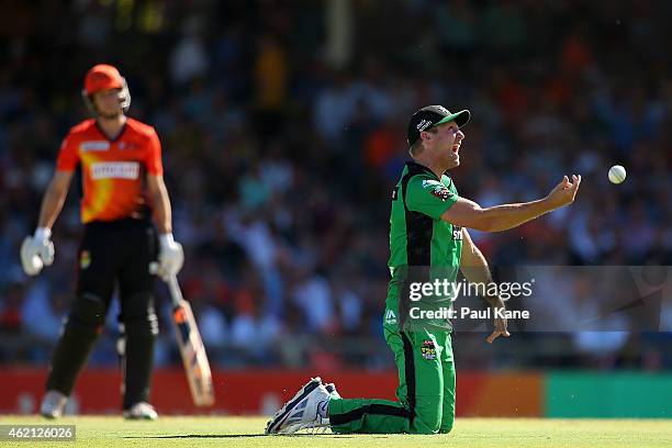 Cameron White of the Stars celebrates after taking a catch to dismiss Adam Voges of the Scorchers during the Big Bash League Semi Final match between...