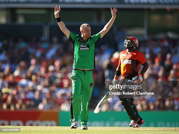 Michael Beer of the Melbourne Stars celebrates the wicket of Michael Carberry of the Scorchers during the Big Bash League Semi Final match between...