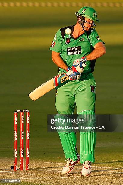 John Hastings of the Melbourne Stars evades a short ball during the Big Bash League Semi Final match between the Perth Scorchers and the Melbourne...