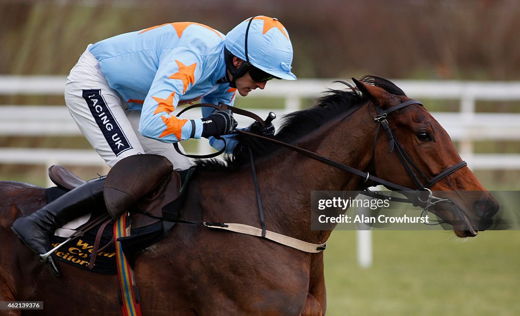 Leopardstown Races