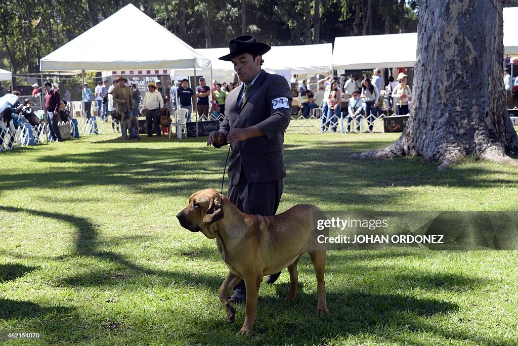 GUATEMALA-ANIMALS-DOG-SHOW