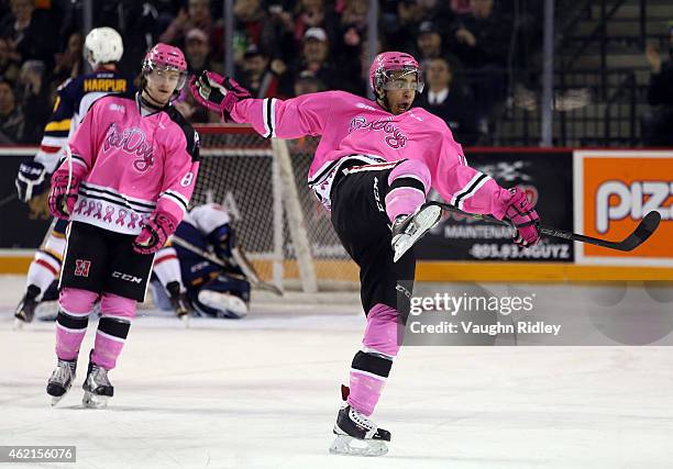 Josh Ho-Sang of the Niagara IceDogs celebrates a goal during an OHL game against the Barrie Colts at the Meridian Centre on January 25, 2015 in St...