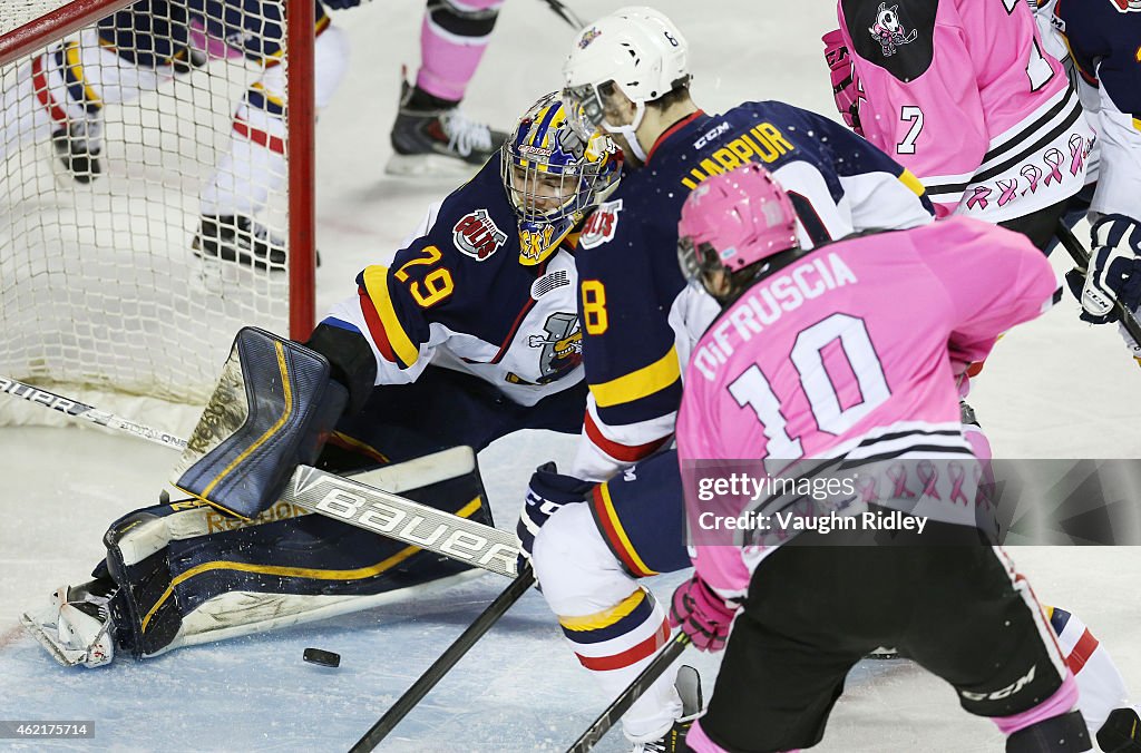 Barrie Colts v Niagara IceDogs