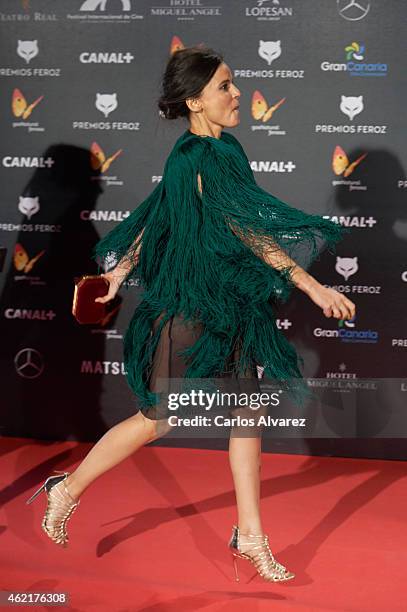 Spanish actress Elena Anaya attends the "Feroz" Cinema Awards 2015 at Gran Teatro Ruedo Las Ventas on January 25, 2015 in Madrid, Spain.