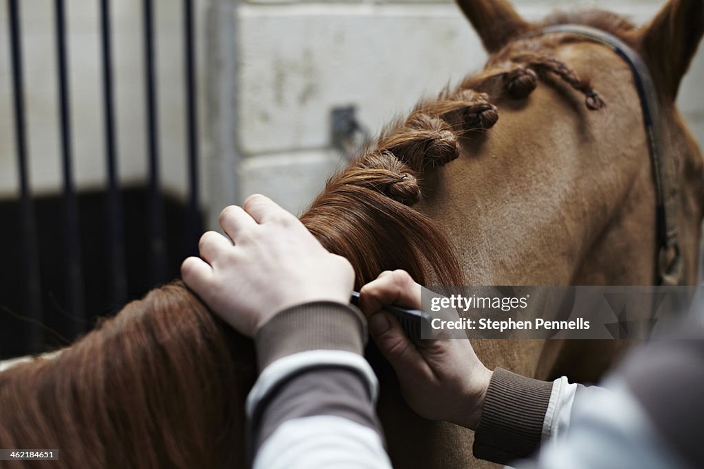 Horse mane being plaited by stable hand