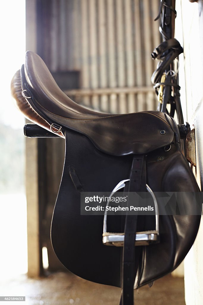 Horse saddle