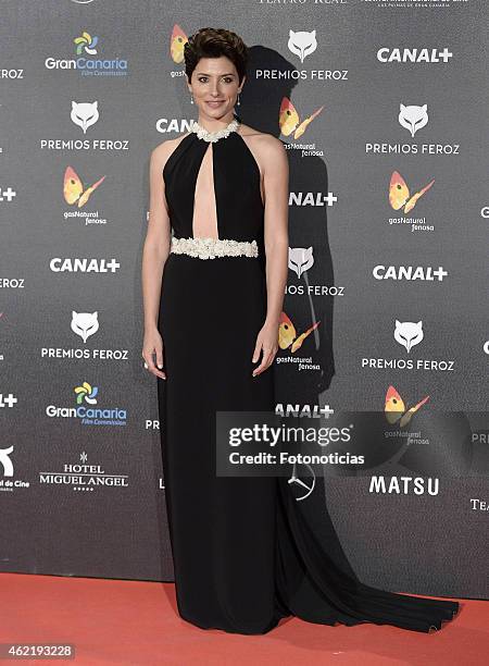 Barbara Lennie attends the 2015 'Feroz' Cinema Awards at Gran Teatro Ruedo Las Ventas on January 25, 2015 in Madrid, Spain.