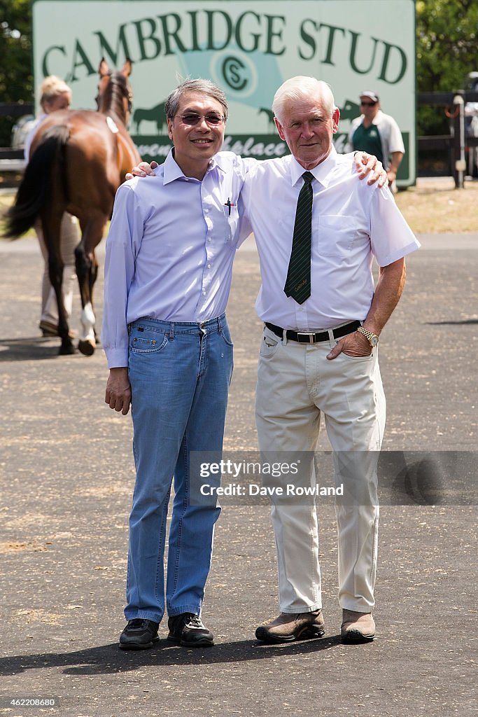 Karaka Yearling Sales